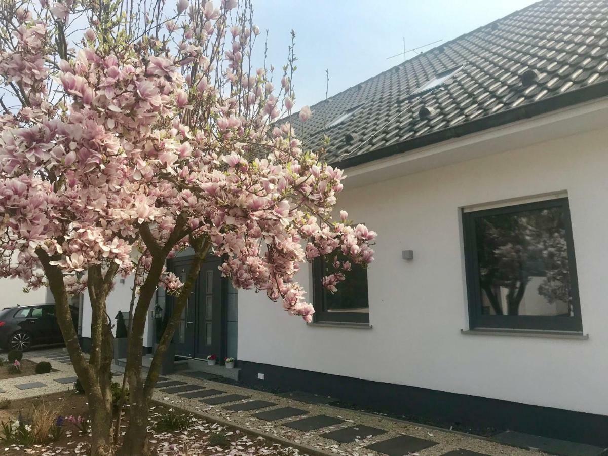 Ferienwohnung Weinurlaub Sulzfeld am Main Exterior foto